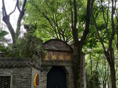 -重庆市江北嘴中央商务区中央公园