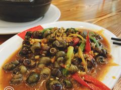 炒石螺-皮蛋弟砂锅店(总店)