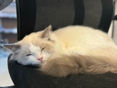 -猫遇摄影工作室