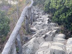 -梧桐山风景名胜区