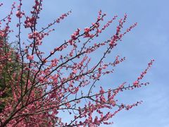 -白塘生态植物园