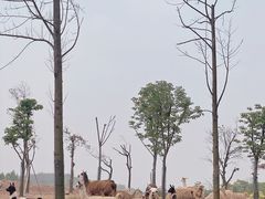 -杭州野生动物世界