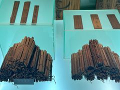 -长沙简牍博物馆