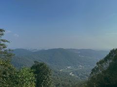 -桃花岭景区