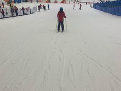 -哈尔滨热雪奇迹