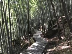 -黄山翡翠谷景区