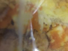 南瓜包-LELECHA乐乐茶(上海五角场万达广场店)