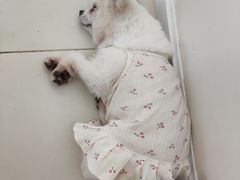 -怪兽屋·羊驼·猫咖·狗咖(俊华广场店)