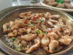 -港升鱼师傅·中山脆肉鲩