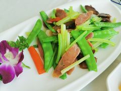 -云中小雅