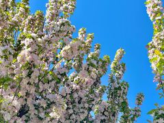 -龙湖星悦荟(颐和店)