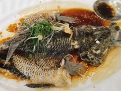 -岭南海晏楼(东晓南店)