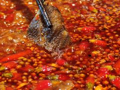 鲜毛肚-红鼎坊·老成都火锅(新南门店)