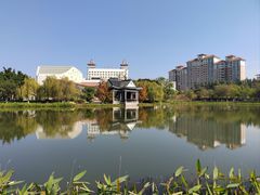 -映月湖公园