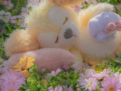 -映水芙蓉(上海万象城店)