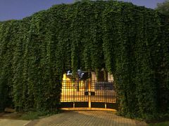 -天津津利华酒店