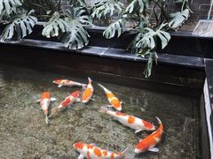 -福禧酒窖·中餐厅 (万柳店)