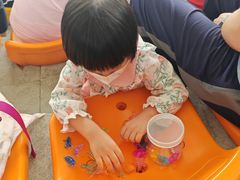 -海合安成都极地海洋公园