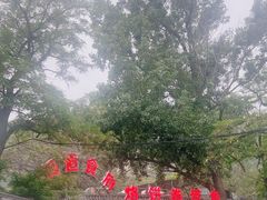 -闻道食府烙饼卷带鱼(原车耳营店原大觉寺店)