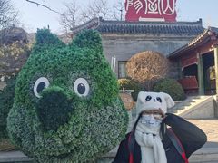 -阳台山自然风景区