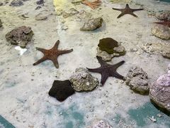 -重庆欢乐海底世界