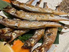 盐烤多春鱼-文三酒肆自助放题(新街口友谊广场店)