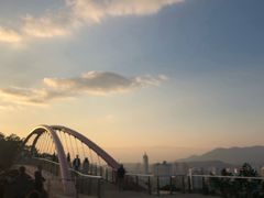 -金鸡山公园