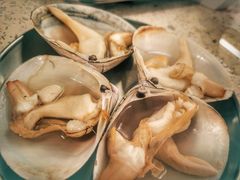 活烤北极贝-白仁仔· 活烤海鲜 宵夜(豫园店)