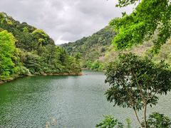 -广州市石门国家森林公园
