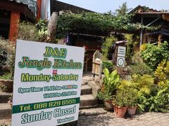 -Jungle Kitchen