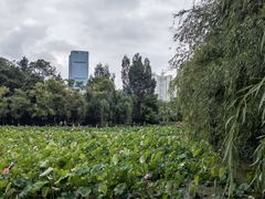 -月牙潭公园