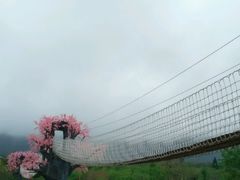android_upload_pic-天适樱花悠乐园