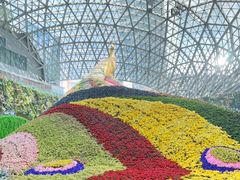 -花之城