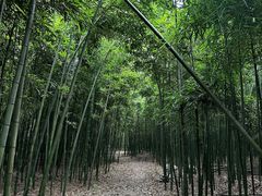 -同里国家湿地公园