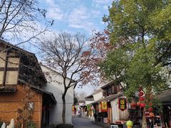 -西溪国家湿地公园