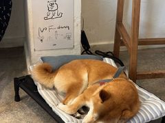 -三目仓咖啡(贤南路店)