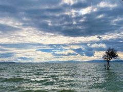 -捞渔河湿地公园