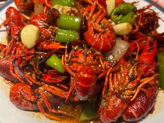 -杨氏青龙虾·羊蝎子(托乐嘉店)