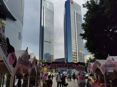 -VT101维多利广场