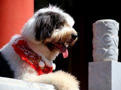 -盛世南宫影视城(北普陀影视城)