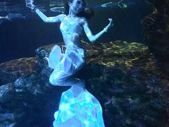 -太平洋海底世界