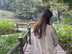 -成都市活水公园