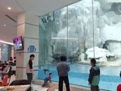 -帝企鹅自助餐厅•儿童岛•真企鹅(长隆企鹅酒店)