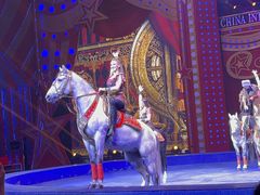 -珠海横琴长隆《卡卡虎奇遇记》