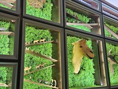 -彩虹之约•淮扬家宴(亚运村店)