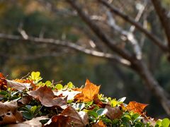 -西安市长乐公园