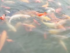 -西南民族大学南区(双流校区)