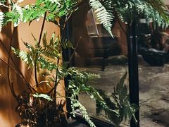 -泰·菩提树下[泰式按摩x精油SPAx肩颈头疗](新景店)