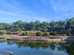 -厦门国家会计学院