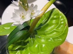 -冰火楼(梦泽园店)